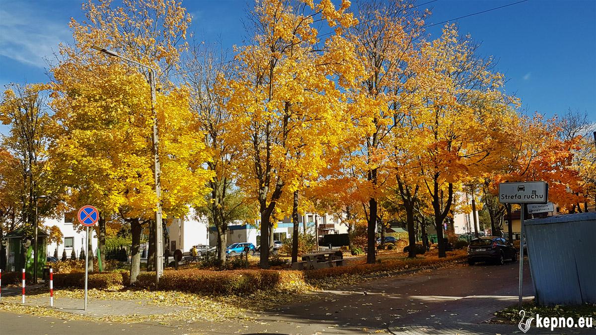 Mały park na skrzyżowaniu ulicy Spółdzielczej i Wiosny Ludów